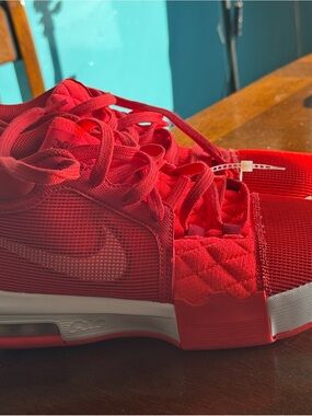 Nike LeBron James Witness 8 Size 8.5